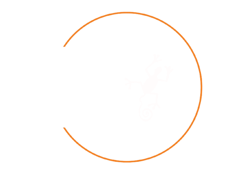 IDM Logo